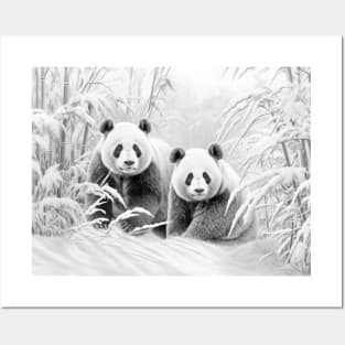 Panda Animal Discovery Wild Nature Ink Sketch Style Posters and Art